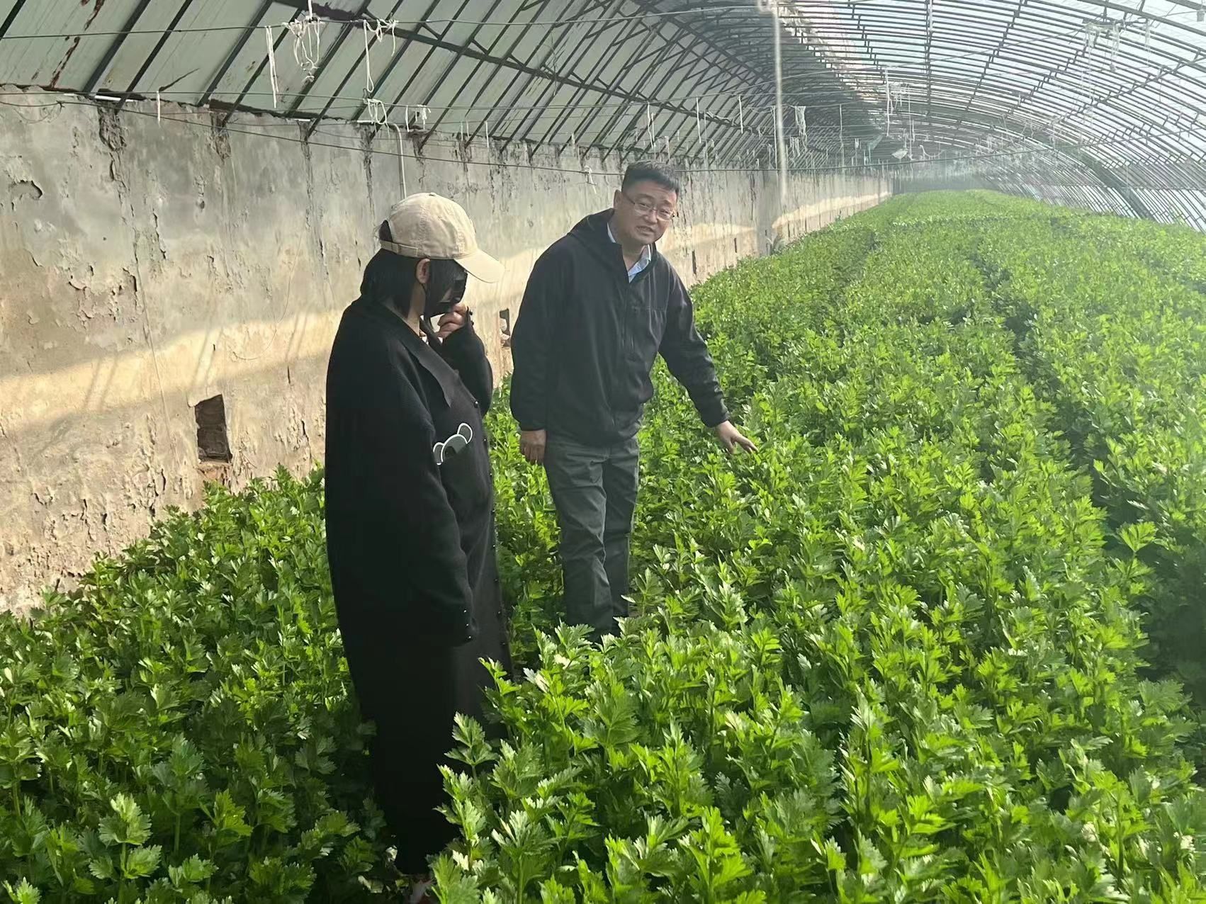 到哱啰庄村检查农业统计工作