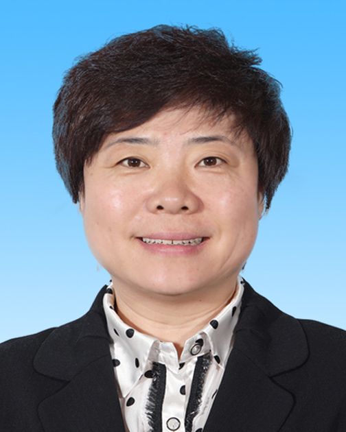 11 副镇长、黄村地区办事处副主任徐红